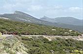 Capocaccia peninsula